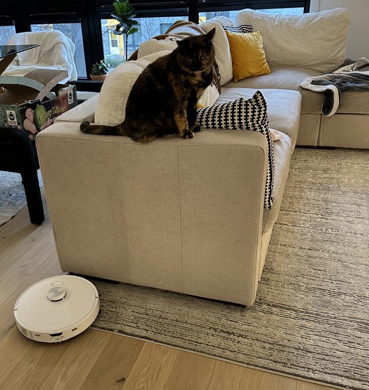 Still learning to trust the vacuum