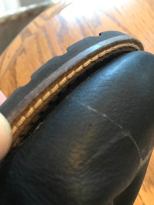 dressports modern waterproof chukka