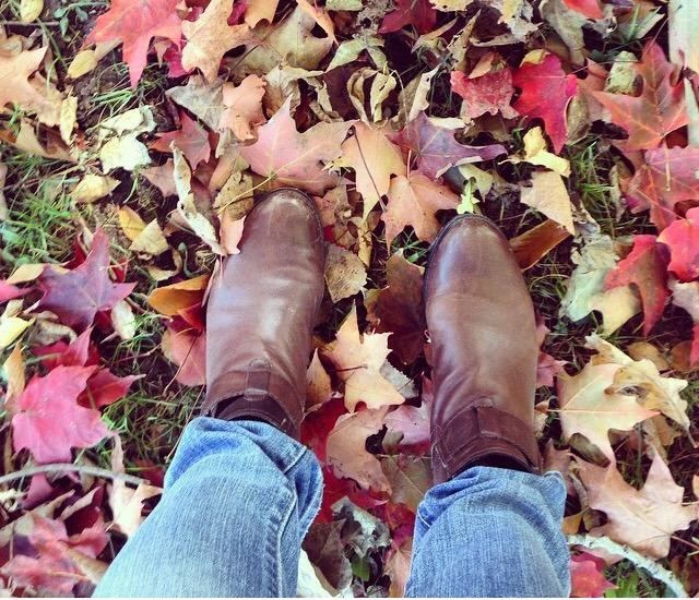 rockport women's tristina waterproof chelsea boot