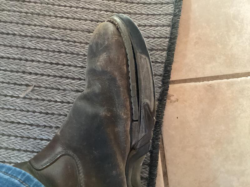 Photo submitted with review of product