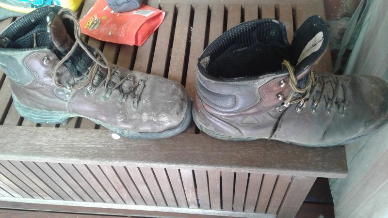 rocky mobilite steel toe
