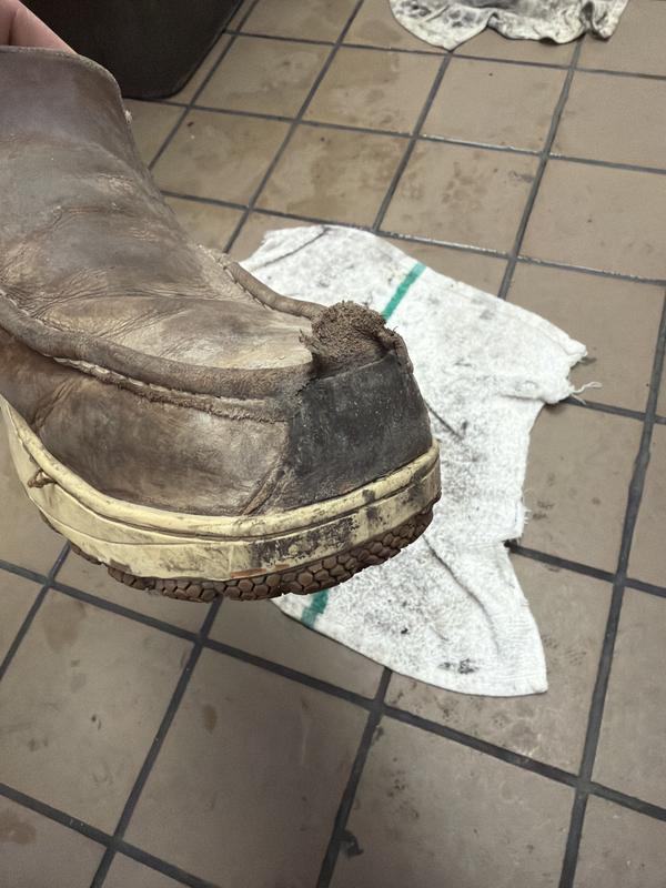 Review Thumbnail Image 0 300029294