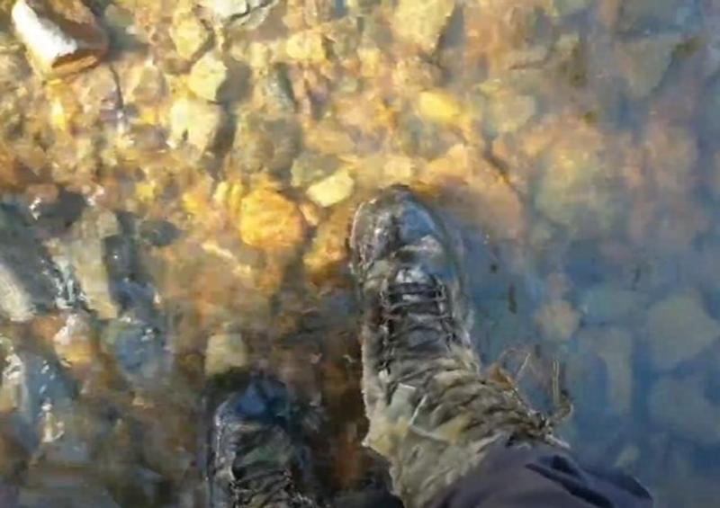 Snake boots in Water