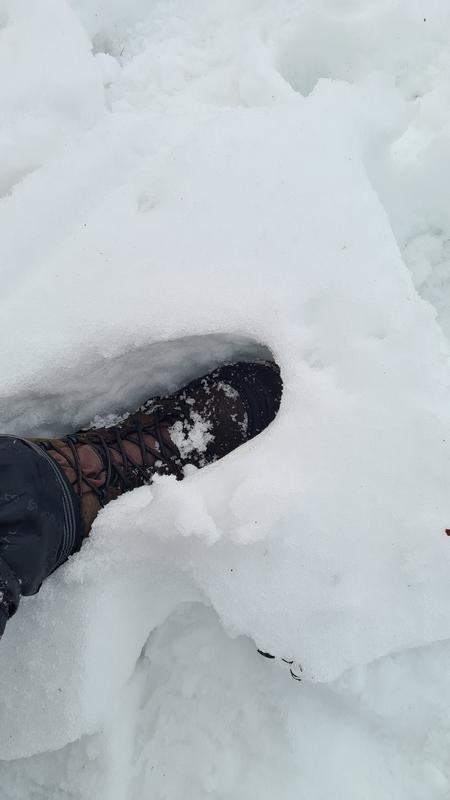 rocky ice stalker boots