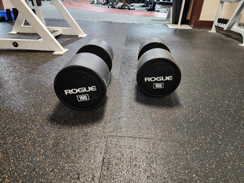 Rogue Urethane Dumbbells Weight Training Rogue Fitness