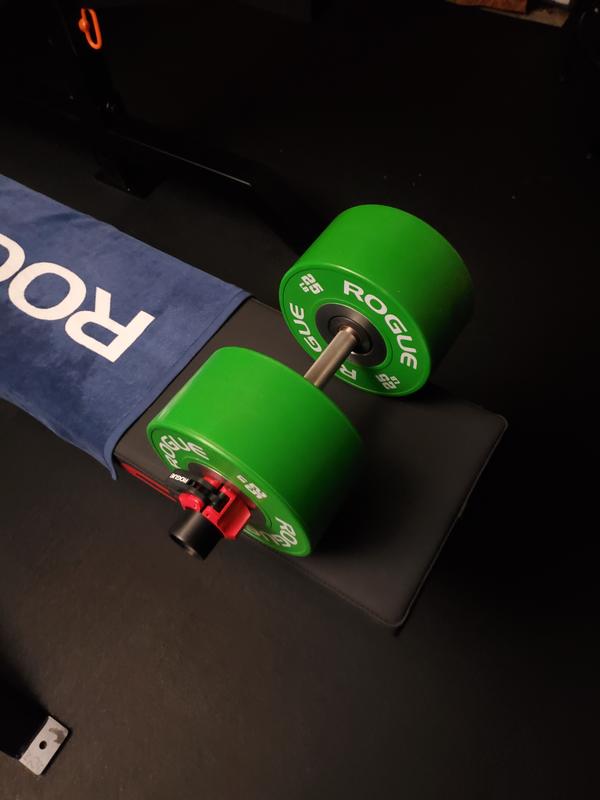 Rogue DB-15 Loadable Dumbbell - Stainless | Rogue Fitness