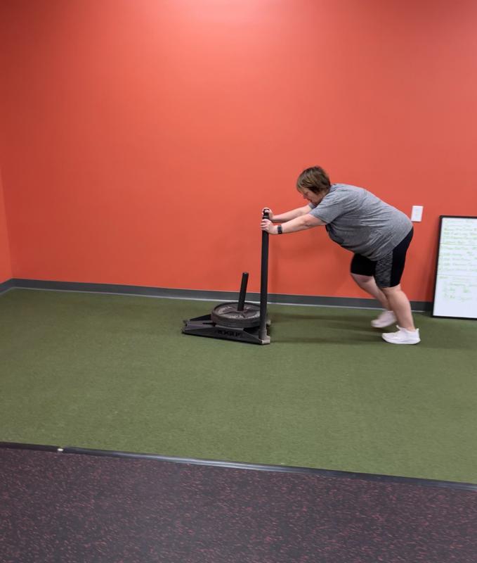 Rogue Slice Sled - Push/Pull Weight Sled | Rogue Fitness