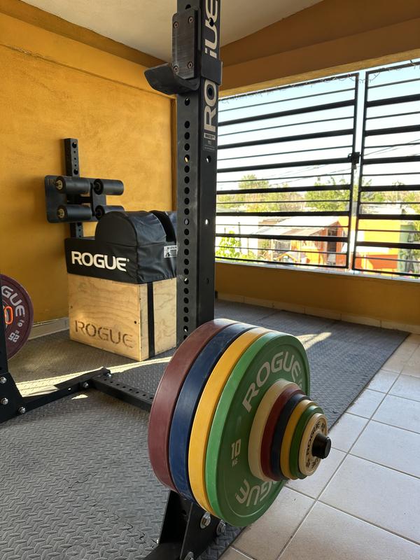 Monster Lite Plate Storage Channel Pair | Rogue Fitness