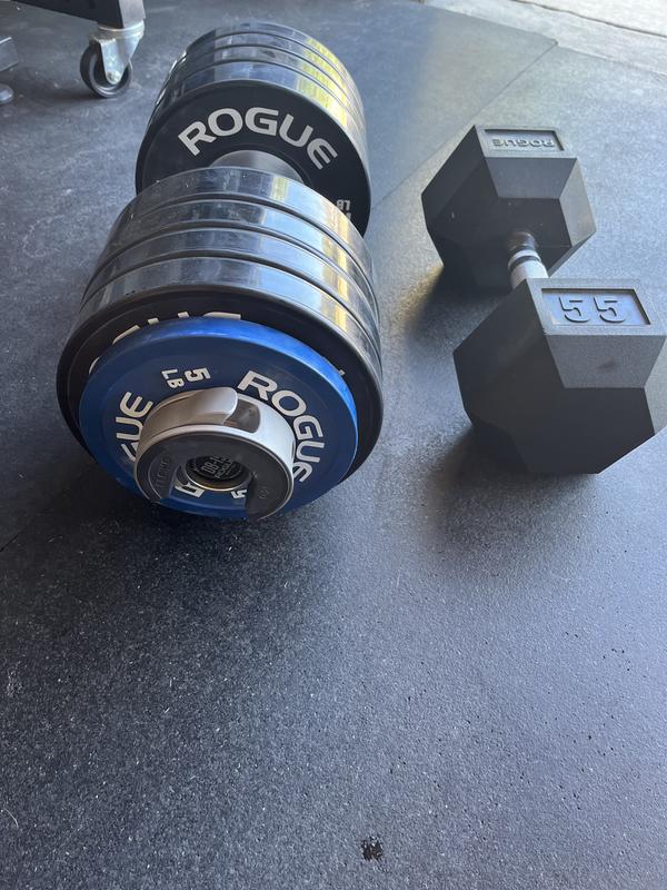 Rogue fitness dumbbell bumpers new arrivals