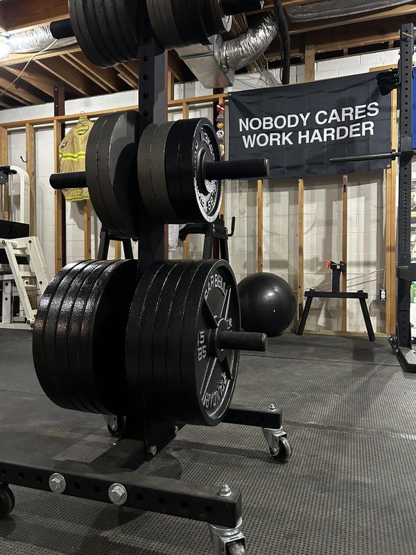 Rogue Olympic Plates - Cast Iron - Weightlifting