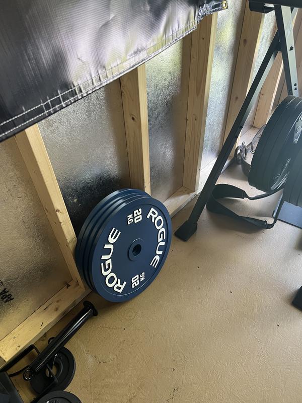 Rogue 50kg plates sales