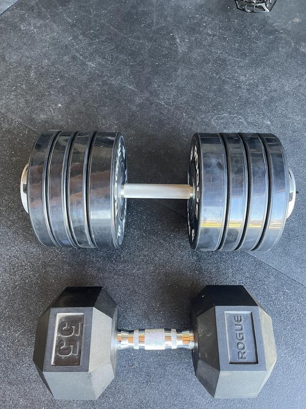 Dumbbell discount bumper plates