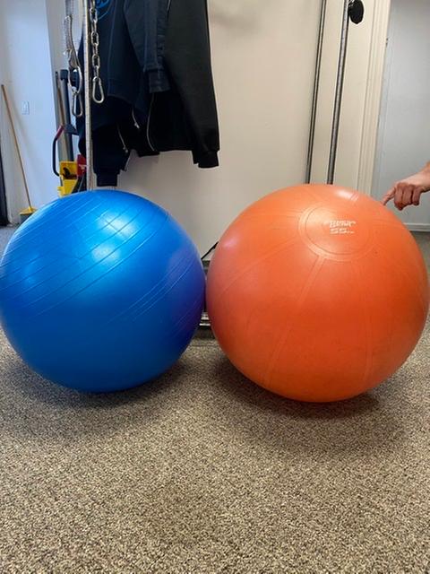 PowerMax Stability Balls Rogue Fitness