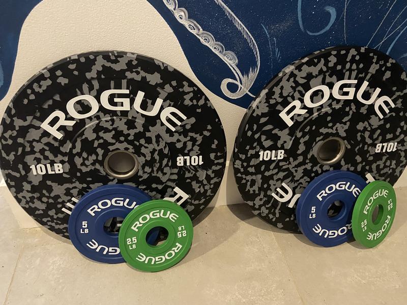 Rogue fleck best sale plates for sale