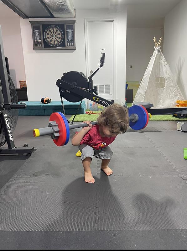 Rogue baby barbell sale