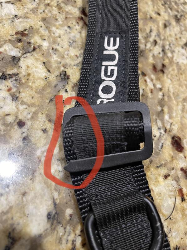 Rogue fitness cheap dog collar