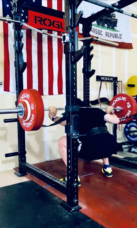 Rogue Monster Safety Strap 2.0 Systems | Rogue Fitness