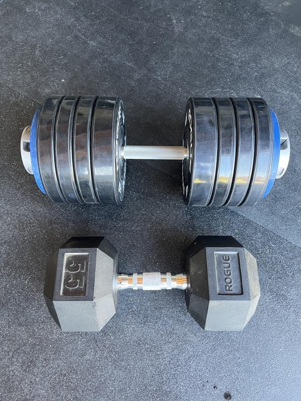 Rogue 10 lb dumbbell hot sale