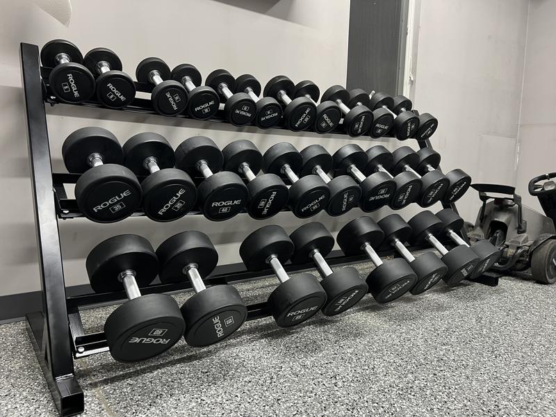 Rogue urethane dumbbells review sale