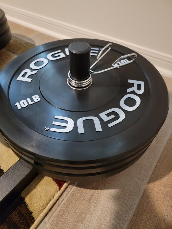 Rogue echo v2 plates sale