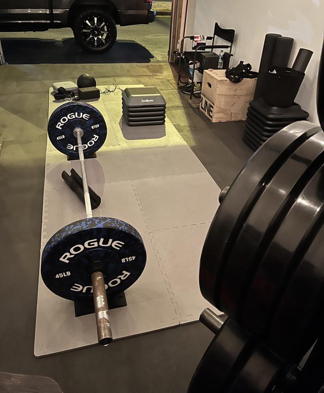 Rogue fitness fleck online plates