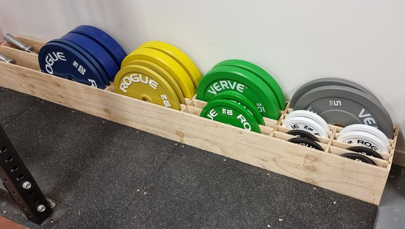 Rogue 25kg online plates