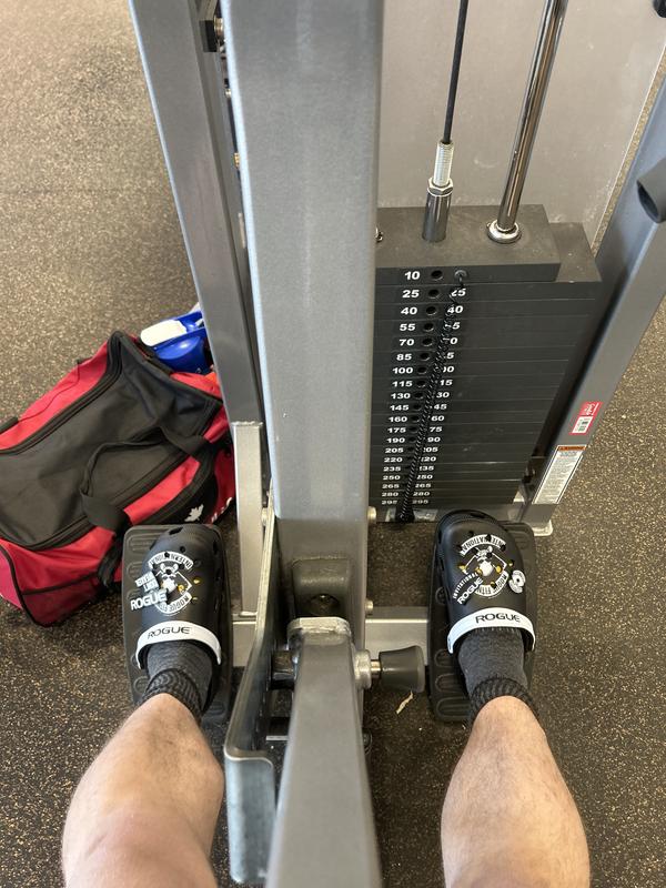 Rogue crocs