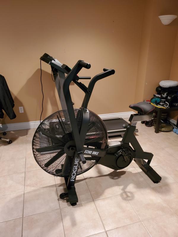 echo bike rogue europe