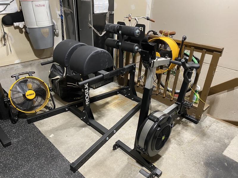 Rogue GH 1 GHD Glute Ham Developer Rogue Fitness Canada