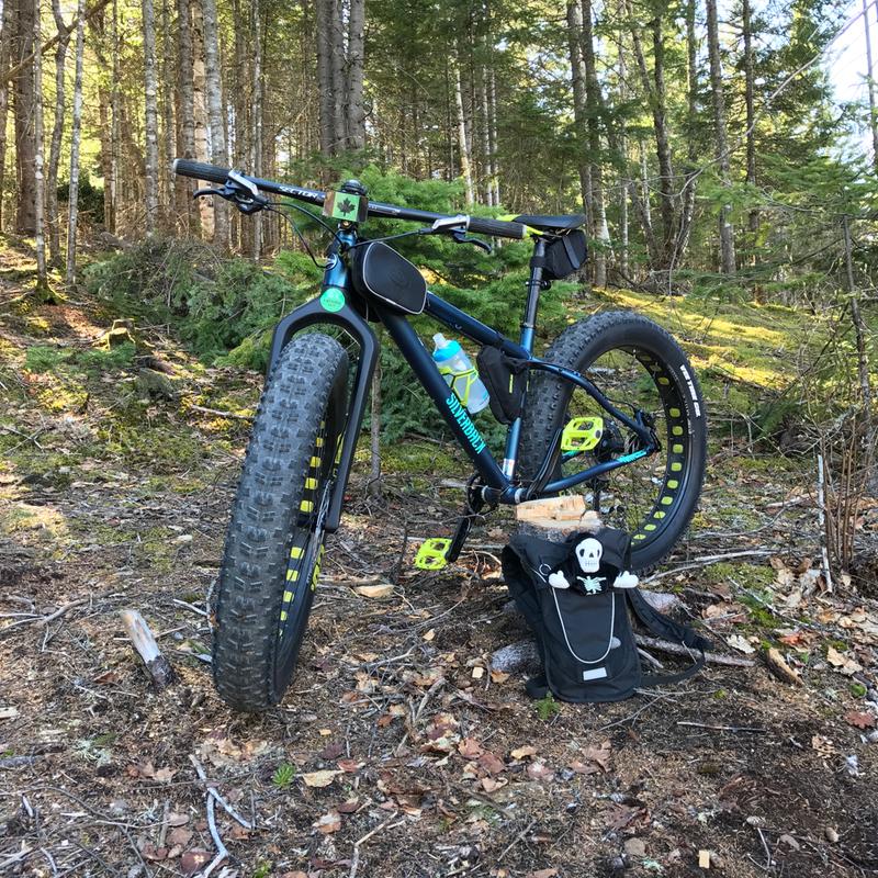 my Beast FatBike