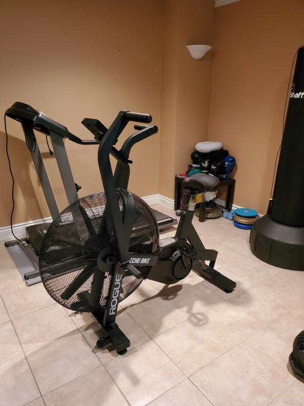 rogue fitness bike