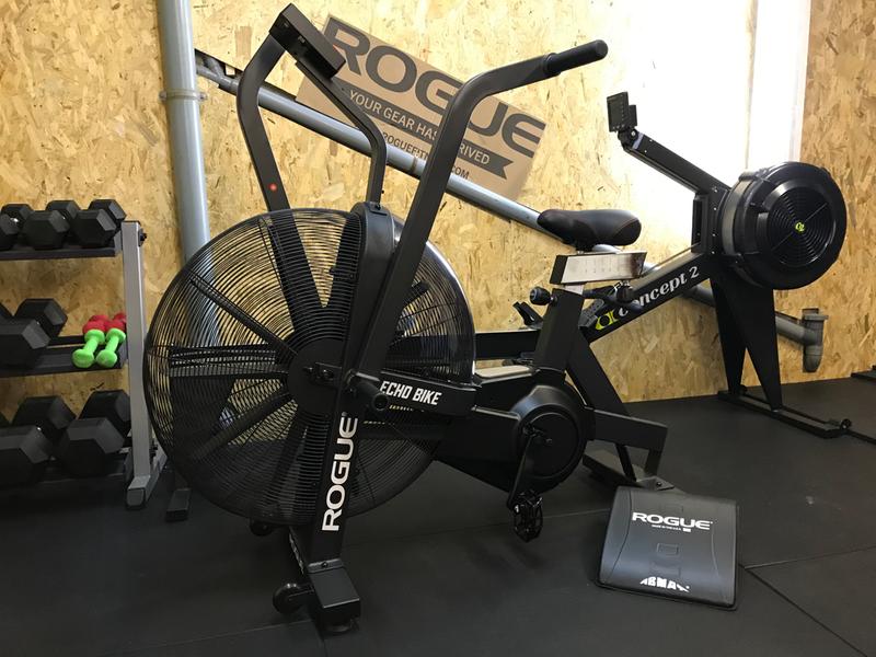 rogue echo bike reviews