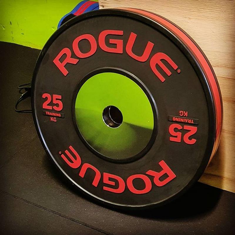 Rogue discount training plates