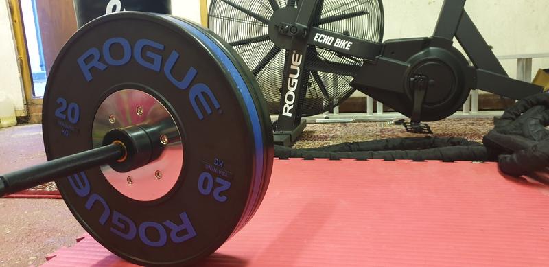 Rogue KG Training 2.0 Plates | Rogue Fitness Europe