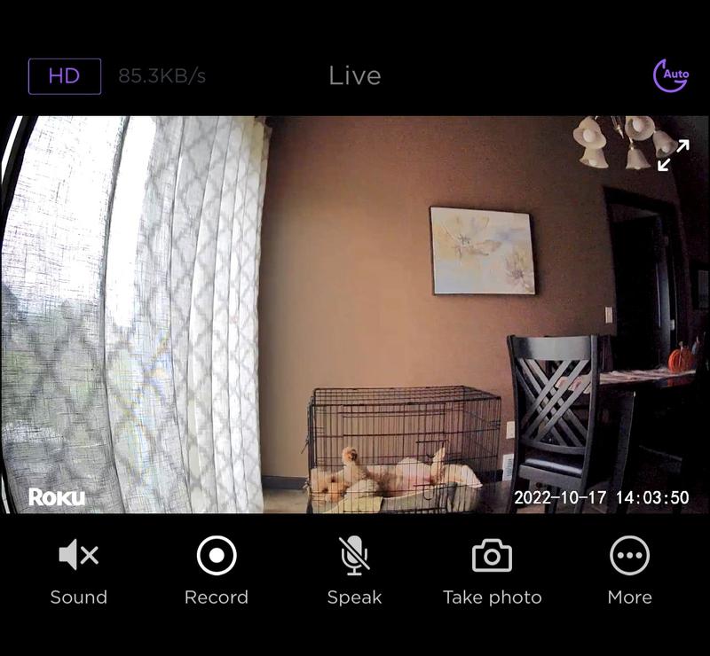 Peep the app photo of my dog relaxing in her kennel :)