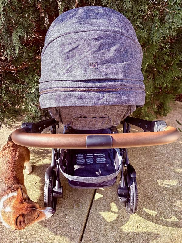 Review Thumbnail Image 2 339008456