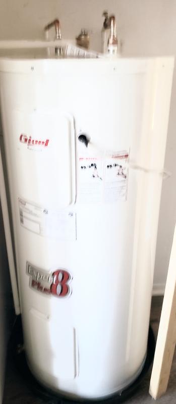 Giant Standard 60-Gallon White Electric Water Heater 172STE-3F7M | RONA