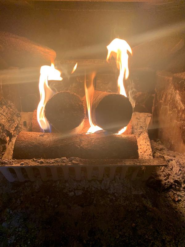 EcoFire 1.36-lb Natural Fire Log (12-Pack) at