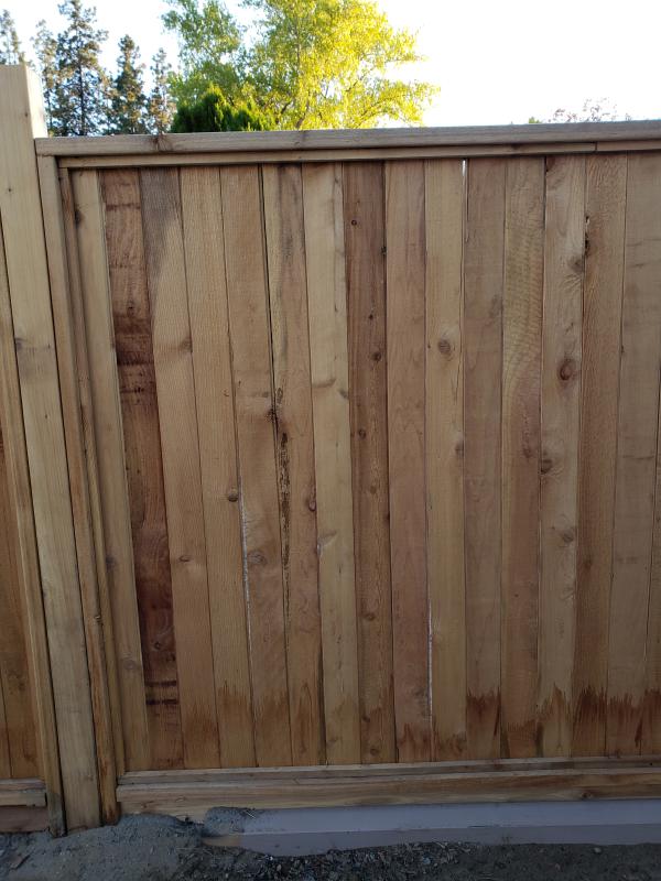 Solid Cedar Fence Panel F1w24fst14tg68 Rona