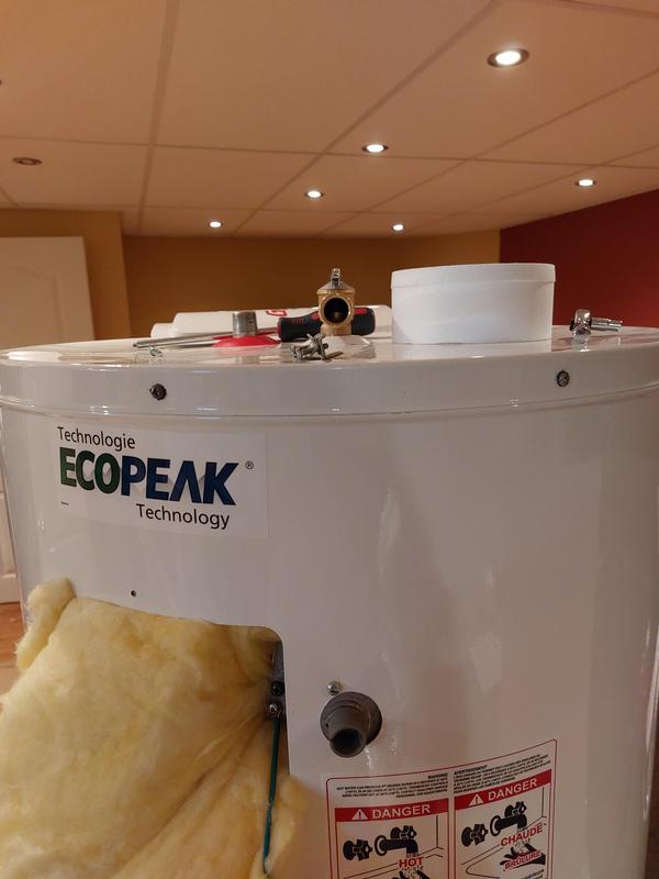 Giant Super Cascade Ecopeak 60-gal. 23 1/2-in 3-Elements Electric Water  Heater 172EPS-3F8M | RONA