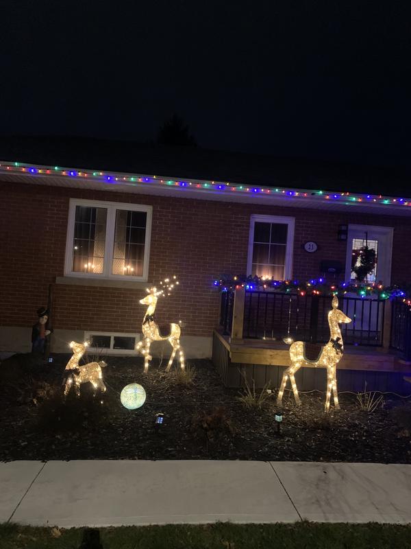 Famille de 3 cerfs de Noël Holiday Living illuminés 34 po, 52 po et 64 po  89-712