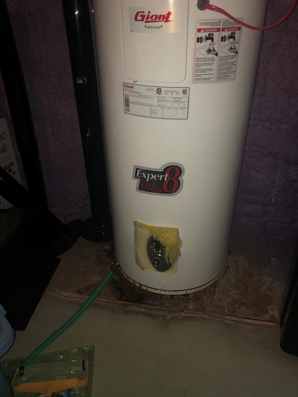 Giant Standard 60-Gallon White Electric Water Heater 172STE-3F7M |  Réno-Dépôt