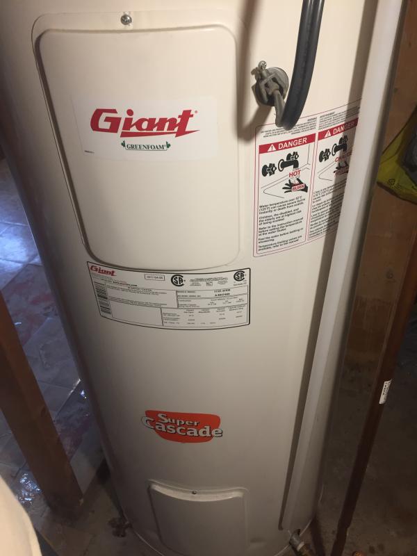 Giant Cascade 60-gal. 23 1/2-in 4500 W Electric Water Heater 172B-3F7M |  RONA