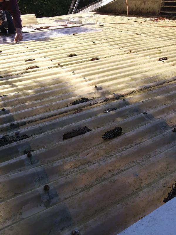 VIC WEST Panneau à toiture Suntuf de Vicwest polycarbonate gris 24 po x 8  pi 28095