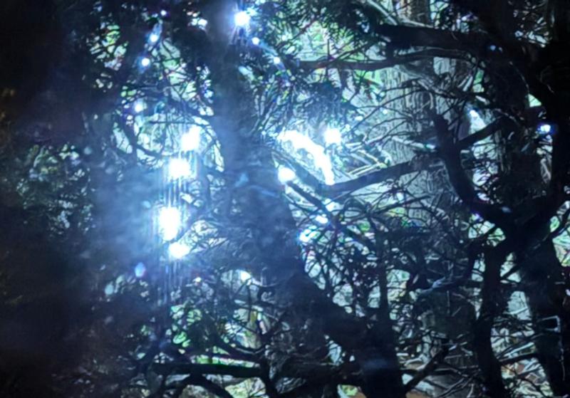 Large Acrylic Star With 50 Bright White Low Voltage LED Lights With Transformer – Garden Market