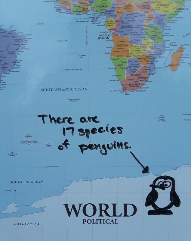 (Just for fun) I love penguins so added one to my map.