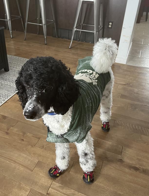 Roots canada dog outlet sweater