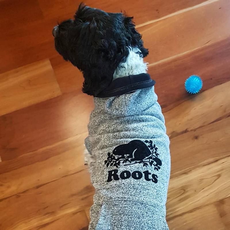 Roots canada dog clearance sweater