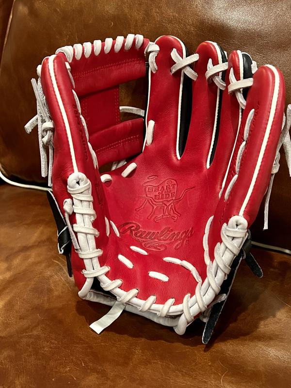 Custom Rawlings Heart of the Hide