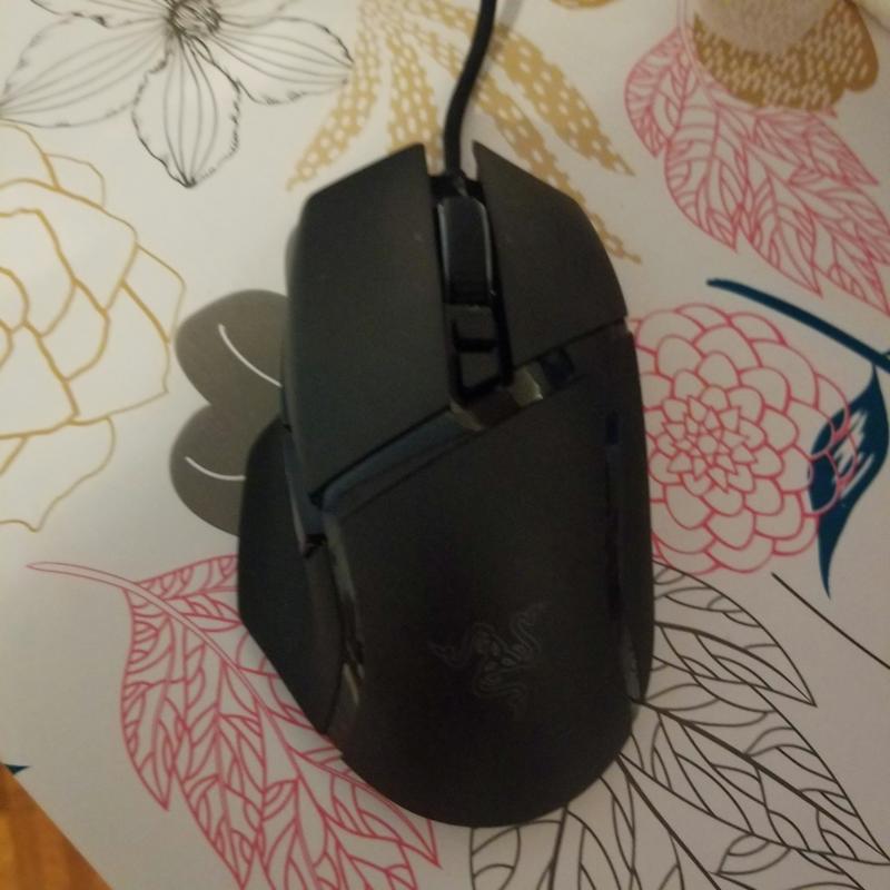 Mouse